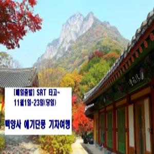 [SRT] 백양사 애기단풍 기차여행 (정읍역11/1-23 당일)