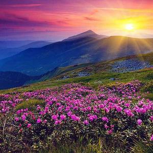 [OFM6NQ8R]해질녘  패브릭  보석십자수 사각 30x30