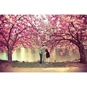 [OFM6NQ54]봄 사랑  패브릭  보석십자수 사각 20x30