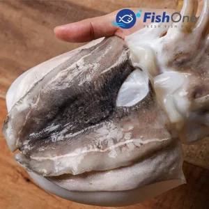 이력추적 국산 손질 갑오징어 중) 2kg 8-10미)냉동