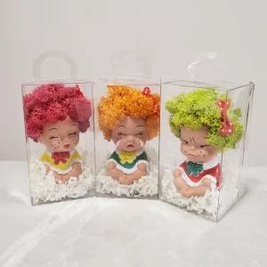 조플라워 공기정화식물 스칸디아모스 못난이인형 - 공기정화식물 인테리어소품 집들이 단체선물 답례품