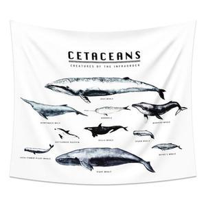 [RGKQN92Q]월데코 신비고래포스터 고래가림막