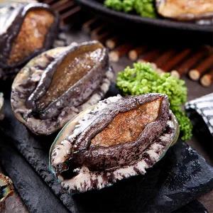 완도 활전복 1.5kg 특대