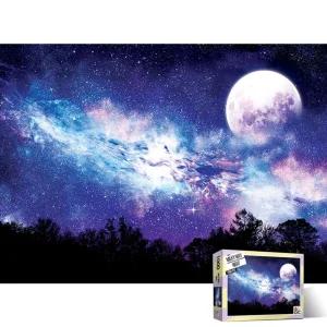 1000피스 직소퍼즐 은하수의 밤 AL3019/예방/퍼즐/그림/맞추기/어르신/대형/놀이/직소/밤하늘/별자리/성인