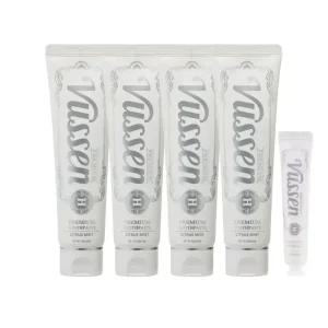 뷰센 H 프리미엄치약 120g 4개+40g