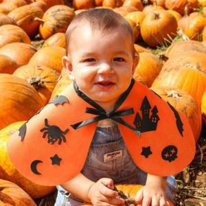 [HYIK0F5U_4B]할로윈 부직포 망토