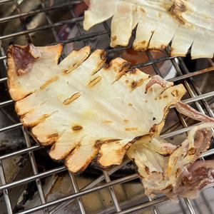 농가살리기 통영 반건조 꼬마한치 5미 (90g 내외)