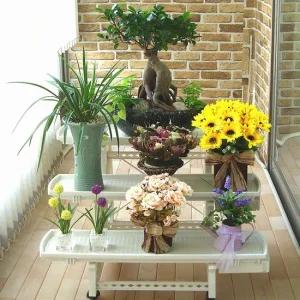 조립식 다용도 화분 선반 물받이 정리대 3단 화초 베란다 정리 텃밭 진열