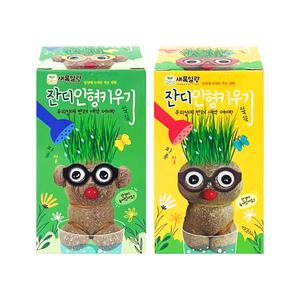 나만의 잔디인형 키우기 랜덤발송 반려식물 원예 수업 토피어리 DIY 키트