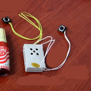 음성 녹음칩/나만의 녹음인형 만들기/보이스 녹음기/음성칩/재생시간 12초/유치원교구/이벤트/기념일