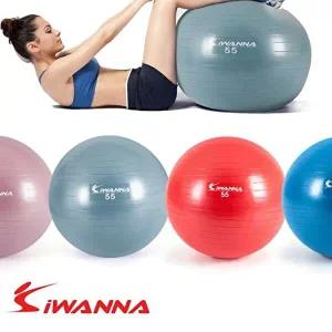 55cm 짐볼 임의색상 다이엇 펌프포함 i워너 짐볼 요가-WFH0Y21