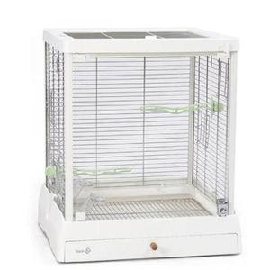 렉산 새장 앵무새 투명 횃대 이동장 조류 이동 새집 알통 모란 잉꼬 렉산새장 케이지