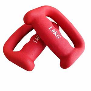 손잡이 쉐도우 덤벨 펀치 운동 아령 2개 복싱 D형 근력 트레이닝 점프 그레이1KG