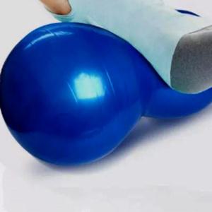 짐볼운동 피넛형 땅콩짐볼  홈트 필라테스공 펌프포함