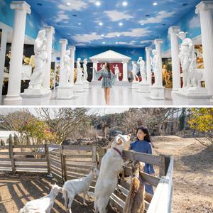 [제주] 그리스신화박물관&트릭아이미술관+양떼목장 /먹이주기/체험