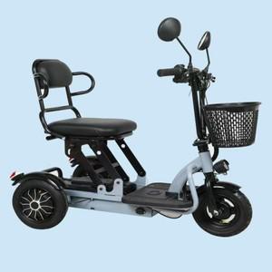 3륜 스쿠터 전기 patinete electrico 성인 장애인 세발 자전거