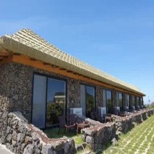 [제주 펜션] 서귀포 호랑호랑펜션 (남원,표선,성산)