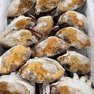 [지투지샵]급냉 절단 암꽃게 1kg