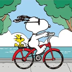 DIY 그리기 페인팅 피너츠 스누피 자전거 25X25 (WFGOZDR)