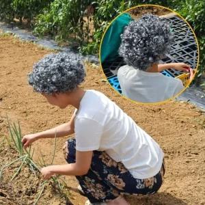 뽀글 머리 할머니 가발 백발 이 흰 아줌마 (WFGG34H)