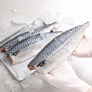 원프로즌 한번얼린 노르웨이 고등어 180-210g x 10팩