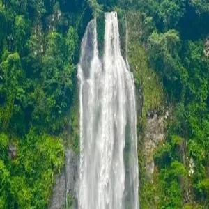 [부산][노쇼핑/식사UP] 대만/우라이/101빌딩/시먼딩 4일/5일