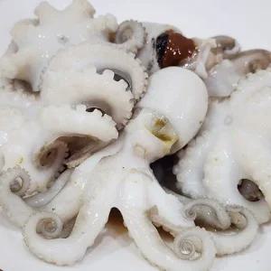 급냉 활 쭈꾸미 1kg