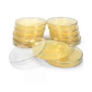 대장균배양배지 LB Agar Plate 90mm 1pcs SN (냉장보관)