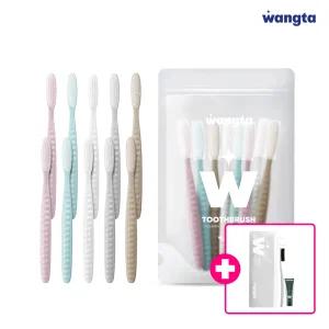 왕타 스톤 파우치 10개입+십일절 키트