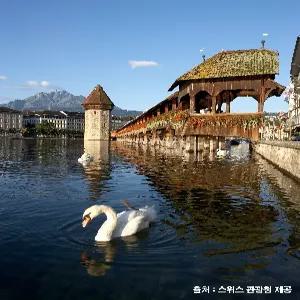 [비즈니스석 탑승][스마트초이스] 스위스일주 9일 #4성3박 #리기산전망대+레스토랑 #리기칼트바드온천 #인터라켄1일자유 #스트라스부르+콜마르