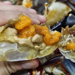 국내산 냉동 암꽃게 3kg