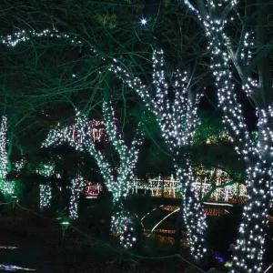 백색 전구 가드닝 트리백색전구 장식전구 볼램프 트리백색전구 led주백색전구 천장등 볼램프