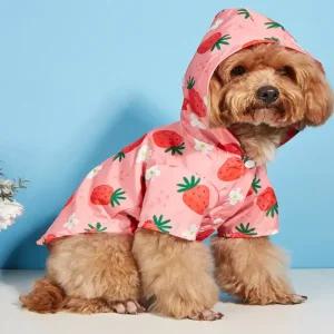 곰돌이펫 딸기 강아지 바람막이 우비 반려견 방수 우의 애견 산책용 레인코트