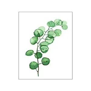 그리기 페인팅 보태니컬 유칼립투스 리프 40x50 그리기 페인팅 유칼립투스리프 TYDL