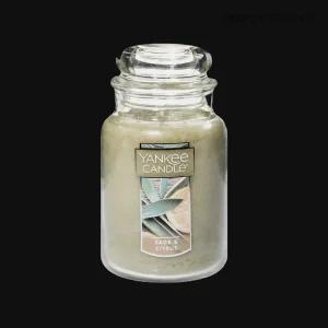 양키캔들 라지자 세이지시트러스 1개 인테리어소품