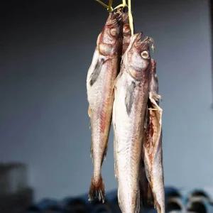 반건조 코다리 4마리 412사이즈 속초 찜 조림 강정 구이 반찬 동태 명태