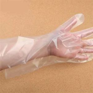 AJAJA 손목긴크린장갑20매 손목이긴비닐장갑