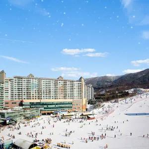 [강원] 웰리힐리파크 가을웰컴&겨울얼리버드PKG