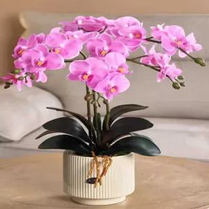 Reon 호접란조화 촬영 호접란 선물 서양란 인조