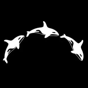 차량용 큐티 범고래 스티커 자동차 꾸미기용품 유리 데코 모음 주유구 귀여운