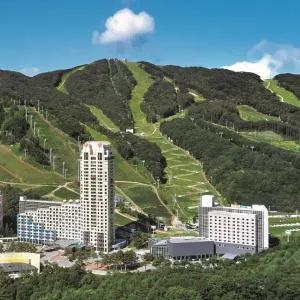 휘닉스파크 (11/5 ~ 1/31)