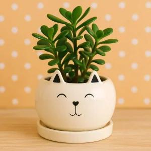 모던 도기 화분 냥냥이 10x8cm 소 아기냥 인테리어 소품 정원 꾸미기 애니멀 고양이 식물