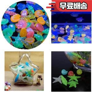 빛나는 불가사리 소라 쉘 모양 돌 정원 수족관 어항 수영장 조경용 속에서 빛남 100 개
