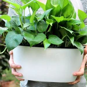 자동 화분 급수 베란다 텃밭 화분텃밭 화이트화분 심지급수화분