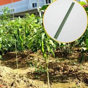 [골드스마일]텃밭 화분 식물지지대 80cm 10P 토마토 지지대 오이