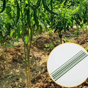 [골드스마일]텃밭 화분 식물지지대 50cm 10P 토마토 오이 지지대