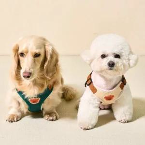 강아지 아기베어 하네스 리드줄 세트