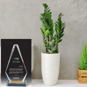 [콩심팥심]크리스탈 상패 + 금전수 고급선물세트