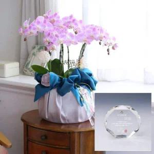 [콩심팥심]고급 보자기 꽃 생화선물세트(대) + 크리스탈 감사패