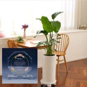 [콩심팥심]크리스탈 축하패 + 창업 개업선물 여인초 선물세트